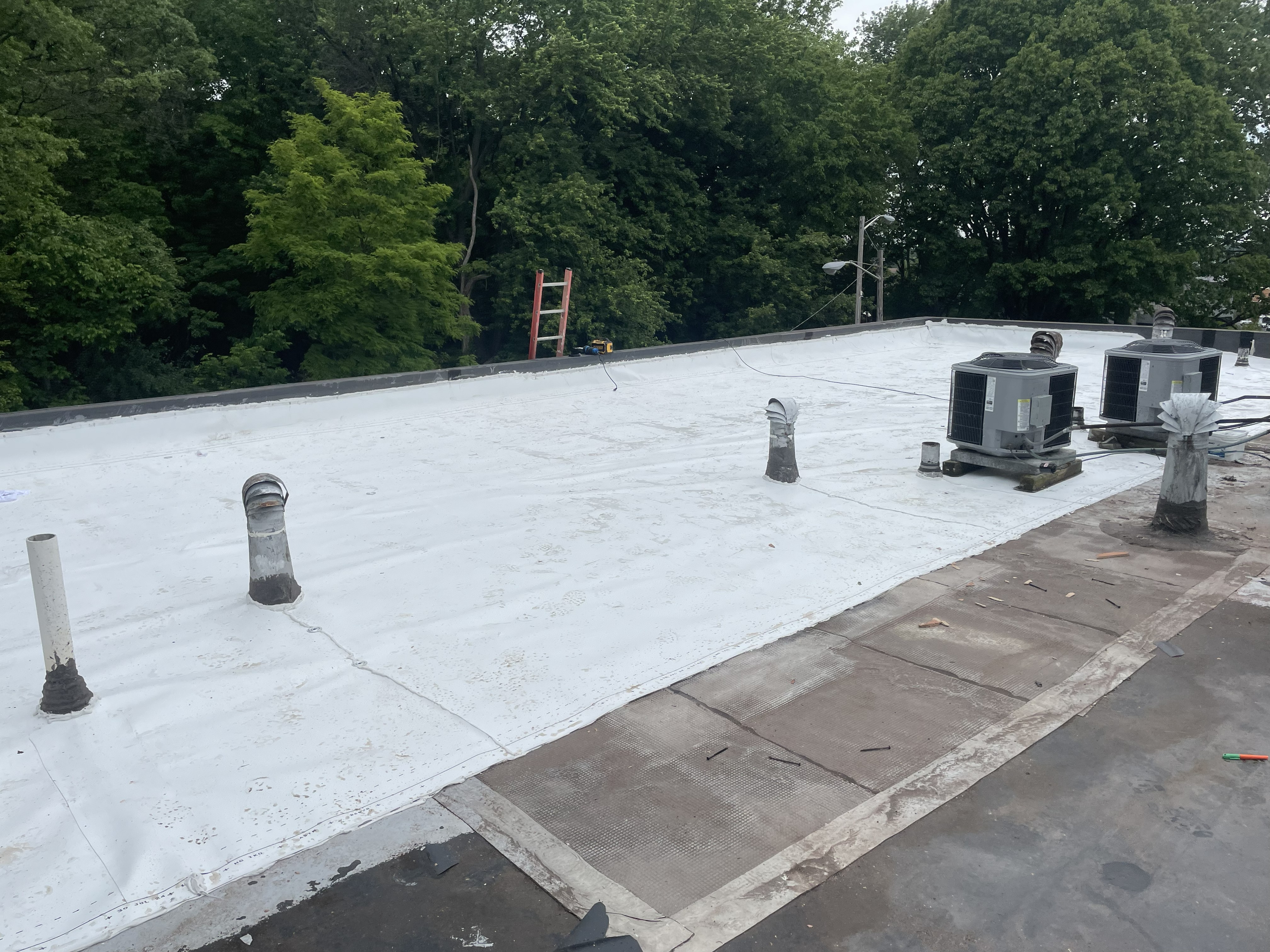 TPO Roof